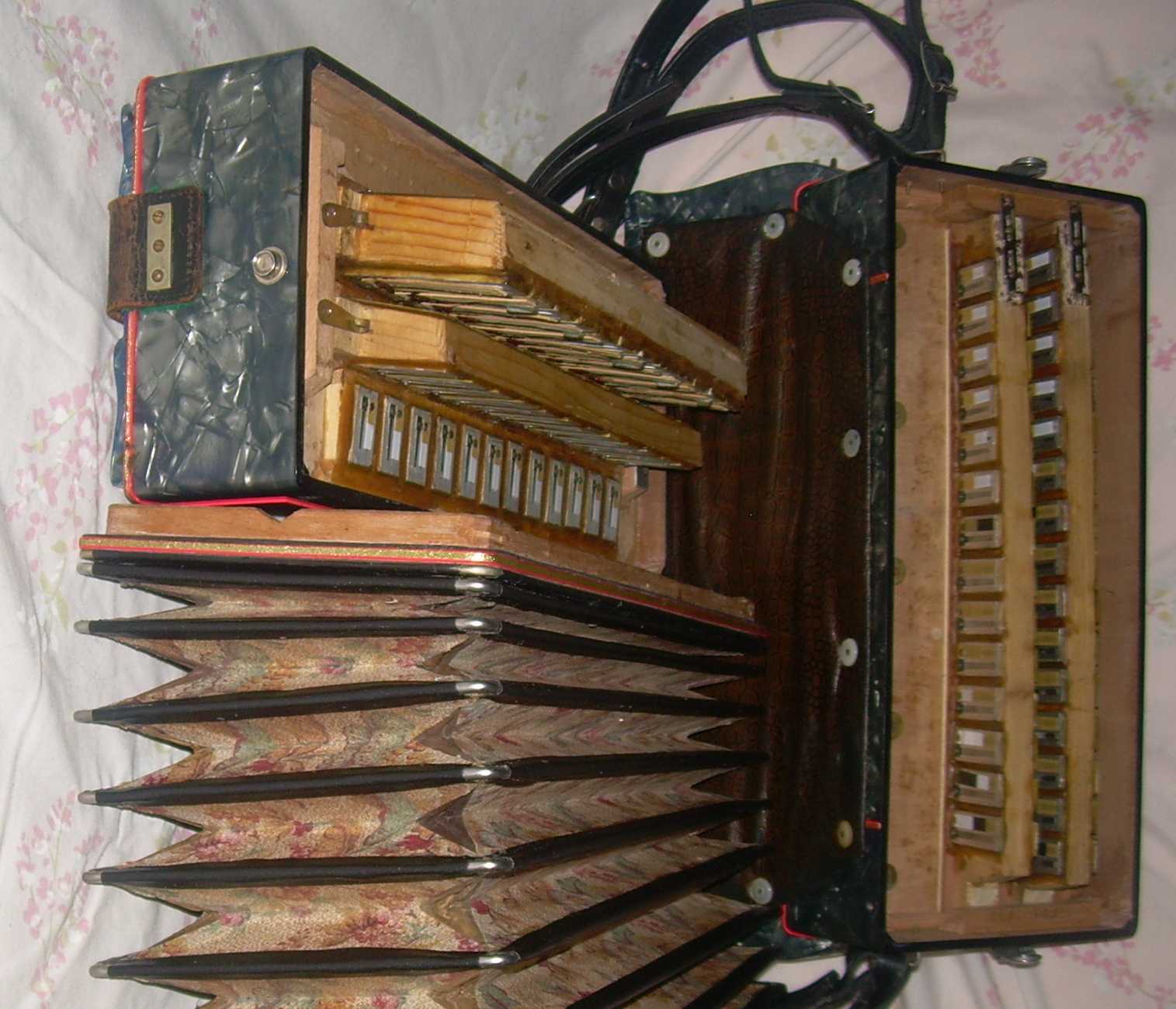Inner workings of Michelangelo 36 bass accordion